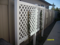 Trellis